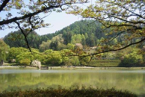 Seishokan Higashine Esterno foto
